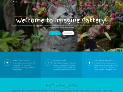 imaginecattery.com snapshot