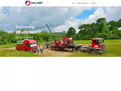 wellser.net snapshot