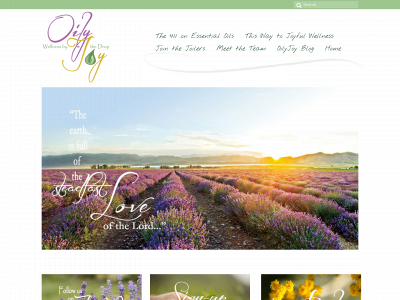 oilyjoy.com snapshot
