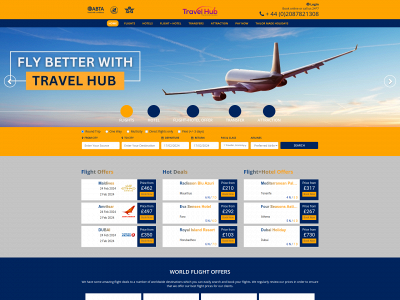 travelhubltd.co.uk snapshot