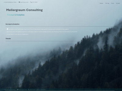 mellergraum.dk snapshot