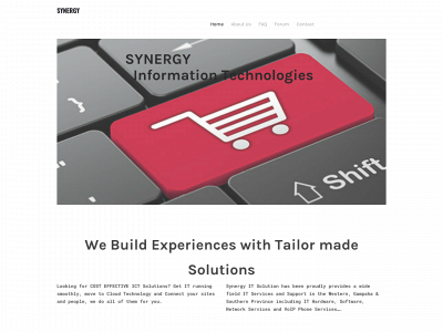 synergyitsolutions.weebly.com snapshot