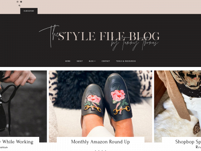 thestylefileblog.com snapshot