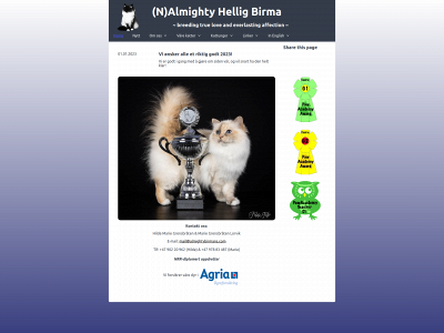 almightybirmans.com snapshot