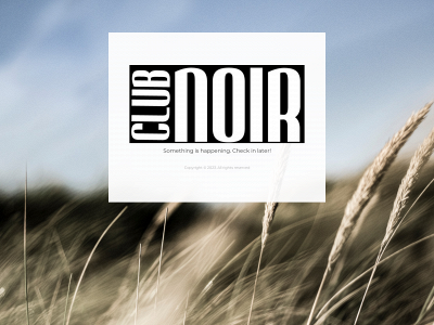 clubnoir-amsterdam.com snapshot