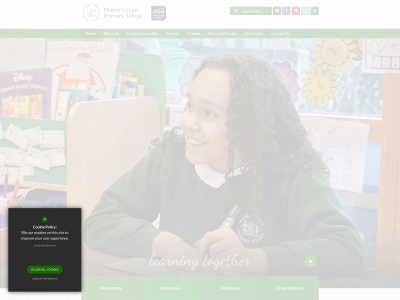 manorgreenprimary.co.uk snapshot