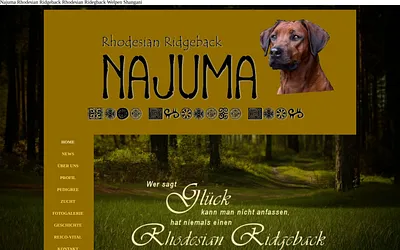 najuma.de snapshot