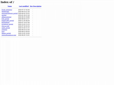 salehnezar.com snapshot