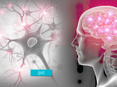 neuroquiz.fi snapshot