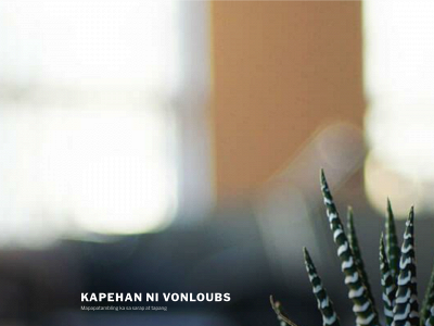 vonloubs.com snapshot