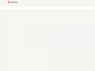 pinkrocket.ch snapshot