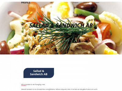 sochsab.se snapshot