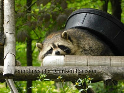 drunkenraccoon.com snapshot
