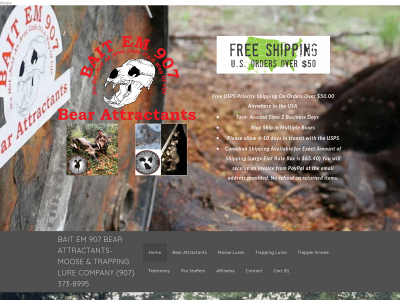 baitem907.com snapshot