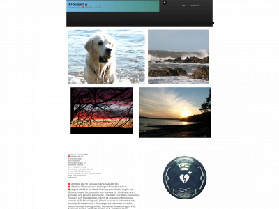 a3-support.se snapshot
