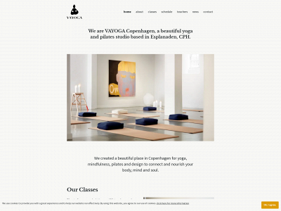 vayoga.dk snapshot