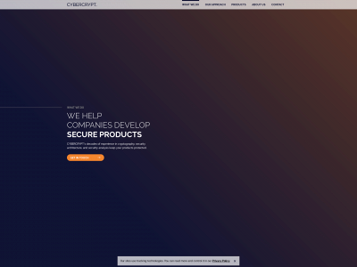 cyber-crypt.com snapshot