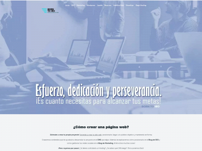 borntoseo.com snapshot