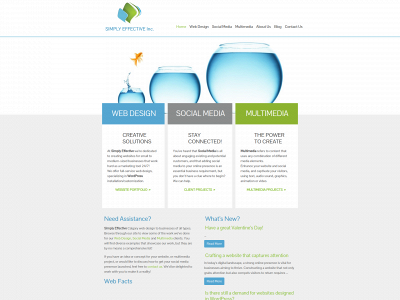 simplyeffectivewebdesign.com snapshot