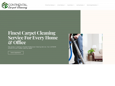 continentalcarpetcleaning.com snapshot