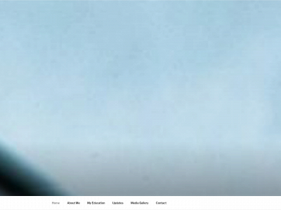 helilarsen.com snapshot