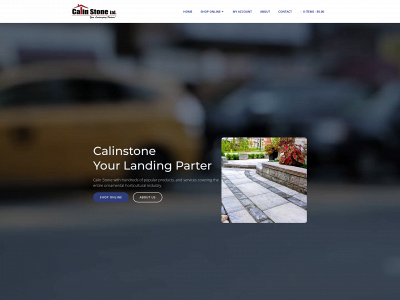 calinstone.store snapshot