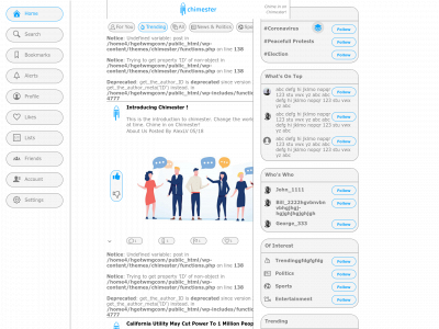 chimester.com snapshot