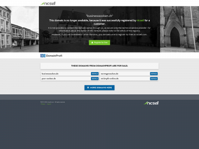 businesssocken.ch snapshot