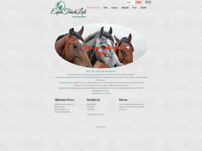 equitracklab.se snapshot