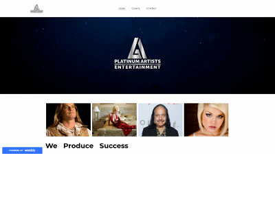 www.platinumartistsentertainment.com snapshot