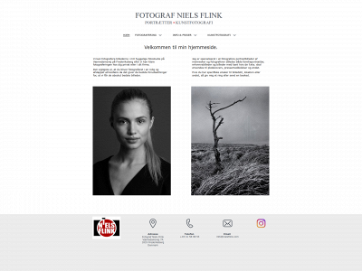 nielsflink.com snapshot