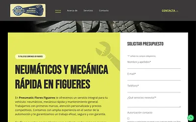 www.neumaticosfloresfigueres.com snapshot
