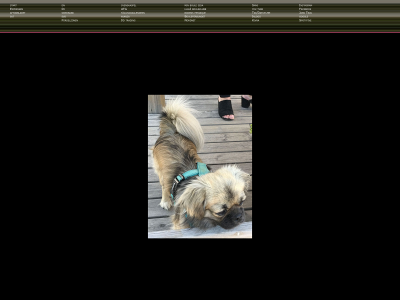 janbo.se snapshot