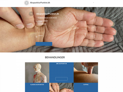 akupunkturpunktet.dk snapshot