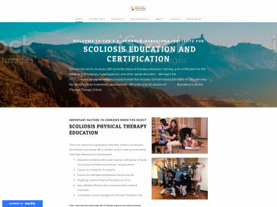 sbinewwebsite.weebly.com snapshot