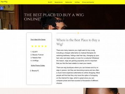 top-wig.com snapshot
