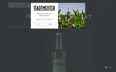 stadtmeister.ch snapshot