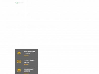 snoaler.com snapshot