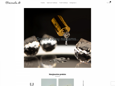 brisala.lt snapshot