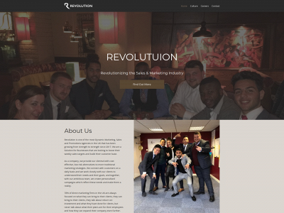 revolutiondirect.co.uk snapshot