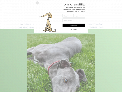 www.greyheart.org snapshot