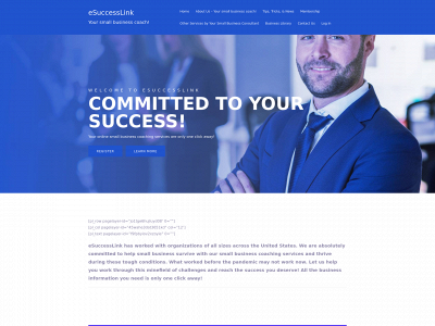 esuccesslink.com snapshot