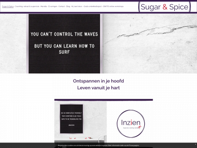 sugarandspiceleiderschap.nl snapshot