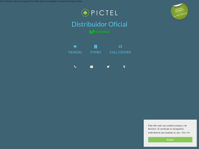 www.pictel.es snapshot