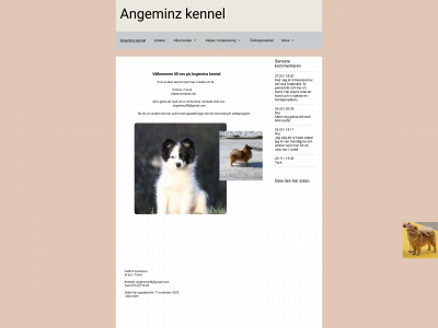 angeminz.se snapshot
