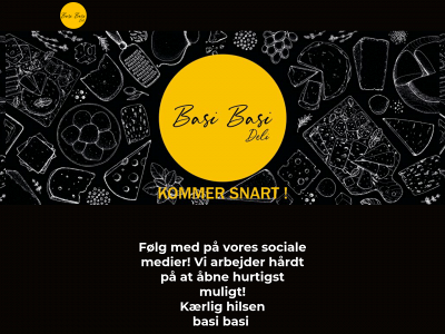 basibasi.dk snapshot