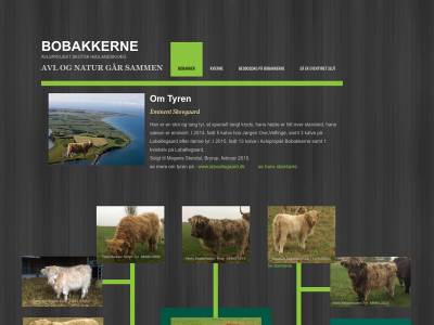bobakkerne.dk snapshot