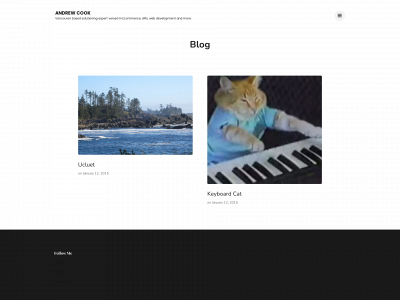 andrewcook.ca snapshot