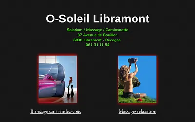 o-soleil.net snapshot