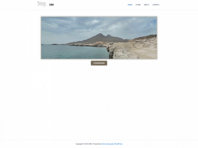 388project.com snapshot